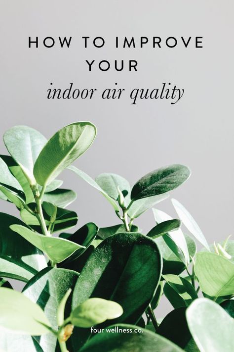 How to improve your indoor air quality with natural home air purifiers. (And why indoor air quality impacts your health.) // Wellness tips for healthy living at fourwellness.co/blog  #airquality #healthyliving #airpollution #airpurifiers #wellnesstips #cleanair Air Filtering Plants, Ficus Audrey, Hygge Ideas, Christian Hospitality, Business Mom, Natural Air Purifier, Hygge Life, Loving God, Friends Group