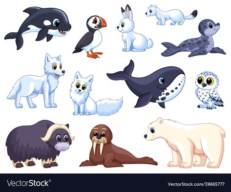 North Pole Animals, Polar Wolf, Arctic Penguins, Wolf Animal, Bear Vector, Fox Drawing, Animals Cartoon, Kids English, Arctic Animals