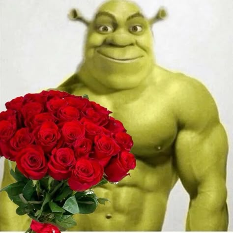 #shrek #shrekisloveshrekislife #sexy #flower #aesthetic Hear Me Out Cake Ideas Funny, Hear Me Out Pictures, Shrek Funny Pictures, Shrek Pfp, Funny Hear Me Out, Hear Me Out Funny, Hear Me Out Cake Ideas, Hear Me Out Characters Funny, Shrek Pictures