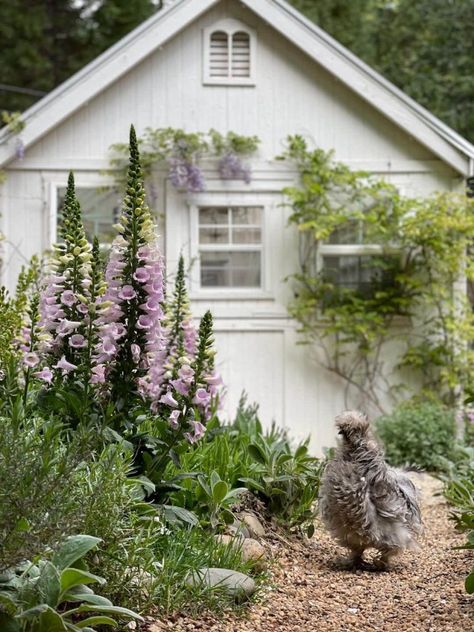 Country Farmhouse Landscaping, Farmhouse Landscaping Ideas, Stone Flower Beds, Magical Landscapes, Flower Bed Edging, Stone Landscaping, Farmhouse Landscaping, Landscape Edging, English Cottage Garden