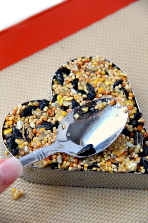 Birdseed Ornaments - Easy to make ornaments made with birdseed and simple ingredients from your pantry! #bitzngiggles #birdseed #ornament #DIY #easycrafts Birdseed Ornaments Recipe, Bird Seed Ornaments Recipe, Ornaments Recipe, Seed Ornaments, Birdseed Ornaments, Make Ornaments, Bird Seed Ornaments, Unflavored Gelatin, Ornament Diy