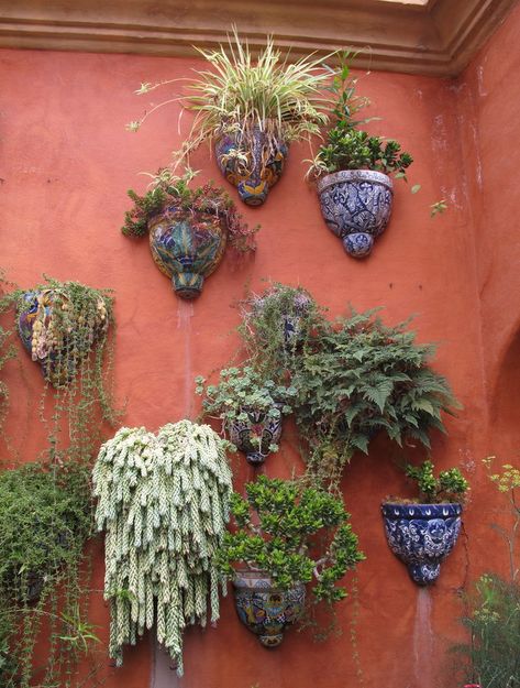 Trailing Succulents, Succulent Party, Small Flower Gardens, Mexican Garden, Succulent Landscape Design, Wall Garden, City Garden, Garden Cottage, Succulents Garden