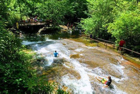 Asheville with Kids: 40 Best Things to Do in Asheville, NC | MommyPoppins - Things to do in New York City with Kids Asheville North Carolina Things To Do In, Asheville Nc With Kids, Asheville With Kids, Asheville Things To Do, Maggie Valley North Carolina, Ashville North Carolina, New York City With Kids, Things To Do In Asheville, Vanderbilt Mansions