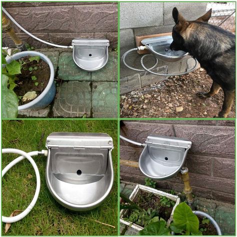 Outside Dog Bowl Ideas, Diy Pet Water Filter, Automatic Water Bowl Dogs, Dogs Water Bowl Ideas, Automatic Dog Water Bowl, Built In Pet Water Fountain, Outside Water Bowls For Dogs, Diy Automatic Dog Waterer, Outdoor Water Bowls For Dogs