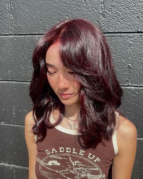 🍒🖤 BLACK CHERRY 🖤🍒 - - - #haircolor #redhair #blackcherry #blackcherryhair #blackcherryhaircolor #oligo #oligocolor #blowout #denver #denverhair #colorado #englewoodco #denversalon #denverhairdresser #hair #denverhair #coloradohair #denverhairstylist #colorhousedenver #littletoncolorado #littletonhairstylist Black Cherry Hair Color, Black Cherry Hair, Littleton Colorado, Black Cherry, Red Hair, Hair Inspo, Denver, Hair Stylist, Colorado