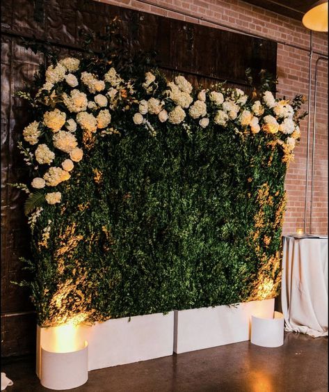 Plant Wall For Wedding, Fresh Flowers Decorations, Greenery Photo Wall Wedding, Green Backdrop With Flowers, Grass Wall With Flowers, Flower Decoration For Birthday, Wedding Greenery Wall, Greenery Backdrop Wedding, Green Wall Wedding