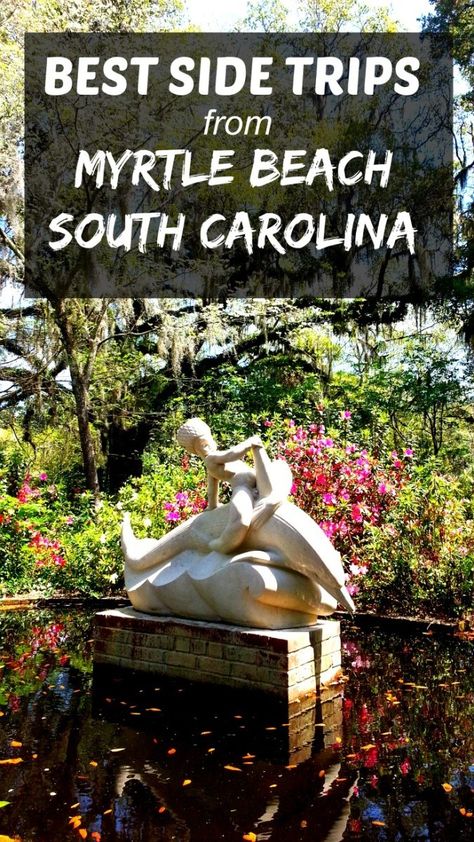 Side Trips from Myrtle Beach Myrtle Beach Aesthetic, Myrtle Beach Things To Do, Myrtle Beach Trip, Brookgreen Gardens, South Carolina Vacation, South Carolina Travel, Myrtle Beach Vacation, South America Destinations, Surfside Beach