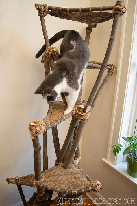 I don't know how we would do this, but it looks super cool Natural Cat Tree, Unique Cat Trees, Kat Diy, Chat Diy, Cat Climbing Tree, Cat Tree House, Diy Cat Tree, Cat Trees, Cat Enclosure