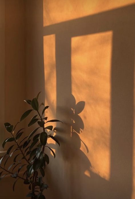 Sun Shining Through Window, Golden Hour Aesthetic, Black Phone Wallpaper, Instagram Frame, Cute Couple Selfies, Aesthetic Photography Nature, Character Wallpaper, Minimalist Wallpaper, Alam Yang Indah