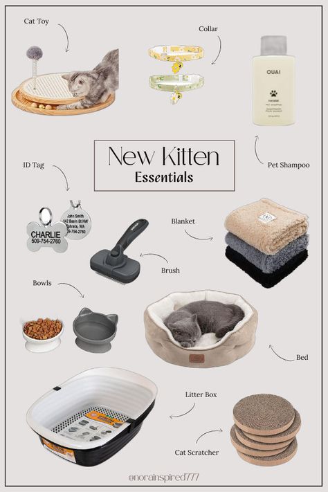 Bringing home a new kitten? Get everything ready with these must-have items. From toys to grooming kits, ensure your kitten feels right at home. Shop the list now! #KittenEssentials #PetCare #CatLovers amazon must haves, amazon finds, kitten essentials list, kitten essentials products, kitten essentials aesthetic, kitten essentials checklist, essentials for a kitten, essentials for new kitten, baby kitten essentials, cat essentials list, cat essentials aesthetic, cat essentials products Cat Essentials Products, Kitten Checklist, Cat Checklist, Kitten Essentials, Amazon Must Haves Clothes, Aesthetic Kitten, Amazon Outfits Women, Kitten Litter, Kitty Care