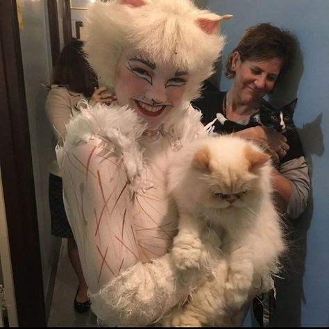 Cats The Musical, Cats Pics, Jellicle Cats, Animal Makeup, Oz Movie, Cat Movie, Dance Pose, Cats Musical, Music Theater