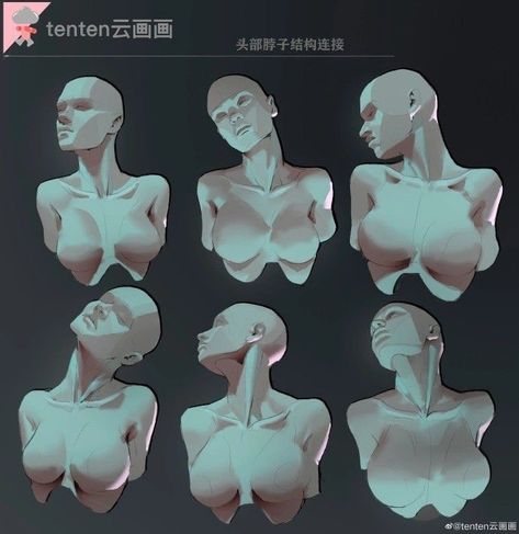 Light Study Reference Objects, Looking Up Pose Reference, Women Anatomy, Woman Anatomy, Human Anatomy Drawing, Long To Short Hair, Human Anatomy Art, Anatomy Sketches, Body Reference Drawing