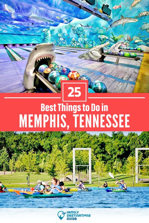 Want to see the most incredible things to do in Memphis, TN? We’re FamilyDestinationsGuide, and we’re here to help: From unique activities to the coolest spots to check out, discover the BEST things to do in Memphis, Tennessee - so you get memories that last a lifetime! #memphis #memphisthingstodo #memphisactivities #memphisplacestogo Memphis Tennessee Vacation, Tennessee Family Vacation, Things To Do In Memphis, Memphis Zoo, Tennessee Road Trip, Downtown Memphis, Tennessee Travel, Tennessee Vacation, American Road Trip