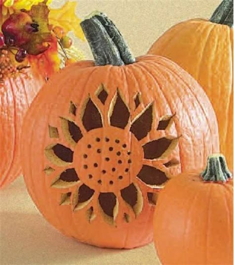 Pumpkin carving ideas are all around yet in this article we have selected a dozen a tad different, the collection is versatile, vast and beautiful, it is filtered socially and therefore in theory, it is representative as a collection for what we find easy to do, beautiful enough to create, pursue and sculpt. The ideasRead more Craved Pumpkin Ideas, Diy Pumpkin Carving, Dekorasi Halloween, Elegant Pumpkins, Pumkin Carving, Sunflower Pumpkin, Fall Parties, Pumpkin Carving Party, Creative Pumpkin Carving