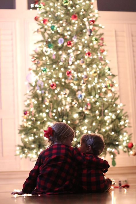 Toddler Christmas Photoshoot, Picture Christmas Tree, Toddler Christmas Pictures, Sibling Christmas Pictures, Christmas Tree Photoshoot, Toddler Christmas Photos, Christmas Photoshoot Kids, Christmas Pictures Kids, Diy Christmas Pictures