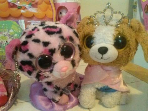 Gypsy and Cookie ty ty beanie boos Beanie Boos Aesthetic, Ty Plushies, Boo Board, Ty Stuffed Animals, Ty Bears, Beanie Buddies, Ty Beanie Boos, Beanie Boo, Beanie Boos