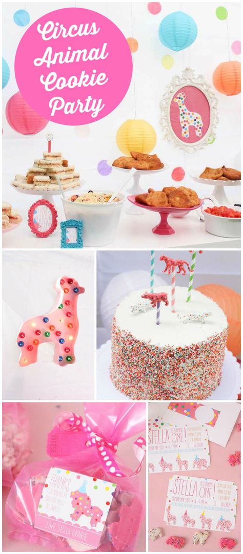 Circus Animal Cookies Party, Frosted Animal Cookie Birthday Party, Circus Animal Cookie Birthday Party, Frosted Animal Cookie Party, Circus Animal Cookie Party, Animal Cookie Party, Circus Animal Cookies, Circus Ideas, Frosted Animal Crackers