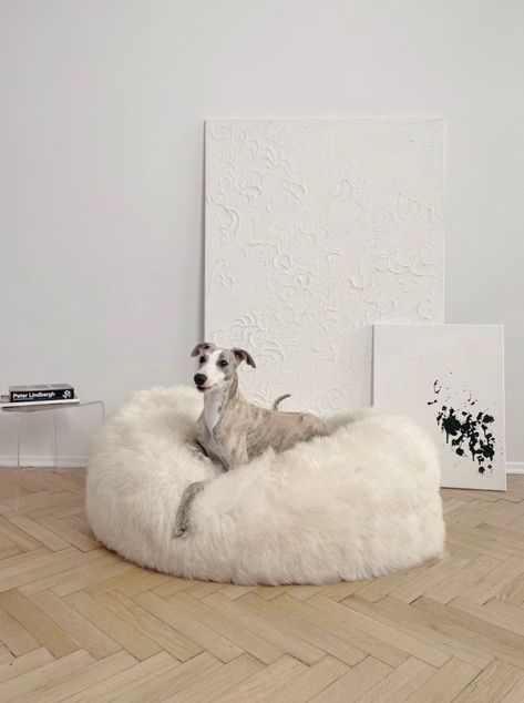 Pet Bed Couch, Bean Bag Bed, Shabby Look, Best Brushes, Cots, Comfy Bed, Sheepskin Rug, White Bedding, Pet Furniture