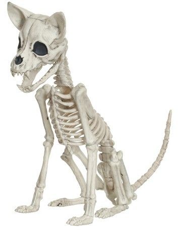 Halloween Chihuahua Skeleton for Halloween Affiliate ad Creepy Halloween Props, Halloween Chihuahua, Animal Action, Dog Skeleton, Dog Home Decor, Halloween Scene, Extinct Animals, Halloween Decorations Indoor, Halloween Home