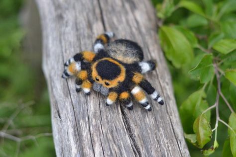 Needle Felt Spider, Goth Needle Felting, Needle Felted Bugs, Halloween Needle Felting, Felt Moth, Felted Spider, Felt Spider, Felt Needling, Spider Lady