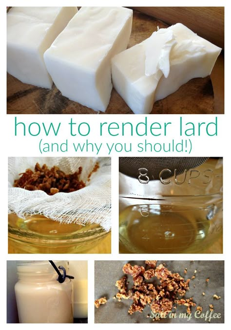 Lard Rendering, Render Lard, Lard Recipe, Rendering Lard, How To Render, Cooking App, Survival Food, Food Preservation, Food Supply