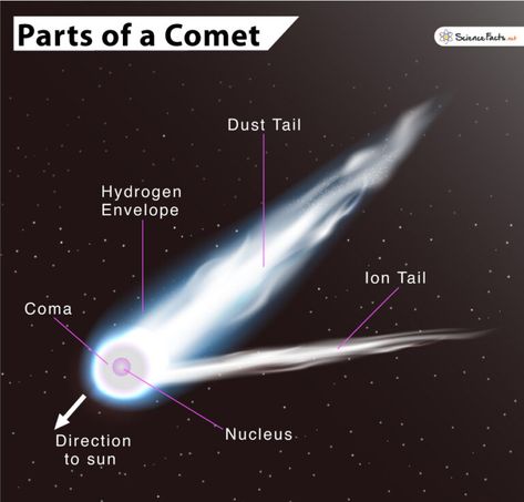 Comet Pictures, Astronomy Terms, Comets And Asteroids, Space Video, Halley's Comet, Astronomy Art, Science Projects For Kids, Diagram Design, Educational Worksheets