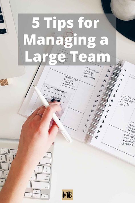 Managing a large team can be such a challenge! Here are 5 tips to make the process smoother. Credit Debt, Debt Reduction, Finance Binder, Pay Off Debt, Finance Organization, Debt Relief, Debt Management, Estate Planning, Financial Tips