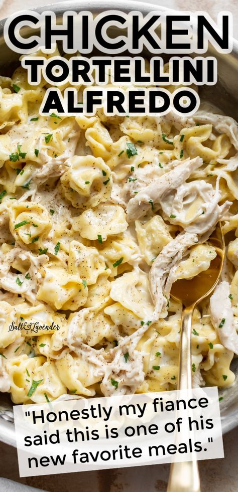 Chicken Tortellini Alfredo, Cheese Tortellini Recipes, Tortellini Alfredo, Chicken Tortellini, Chicken Alfredo Recipes, Tortellini Recipes, Easy Chicken Dinner Recipes, Pasta Dinners, Pasta Dinner Recipes