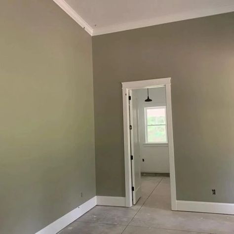 Behr Jungle Camouflage N350-4: 12 real pictures Behr Jungle Camouflage, Jungle Camouflage Behr Paint, Behr Paint Living Room, Paint Living Room, Jungle Camouflage, Camouflage Colors, Behr Paint, Living Room Paint, Coordinating Colors