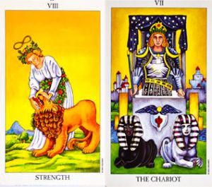 strength-chariot-tarot-cards Tarot Card Combinations, Tarot Tutorial, Biddy Tarot, Free Tarot Cards, The Major Arcana, Birth Cards, Rider Waite Tarot, The Hierophant, Free Tarot