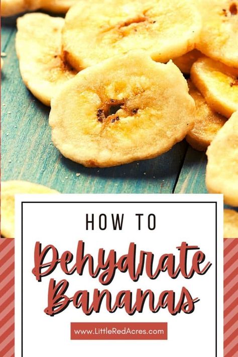 Dehydrating Bananas How To Dehydrate Bananas, Dehydrating Bananas, Dehydrate Bananas, Food Dehydrator Recipes, Deer Jerky Recipe, Dehydrated Bananas, Dehydrate Potatoes, Dried Banana Chips, Dehydrated Strawberries