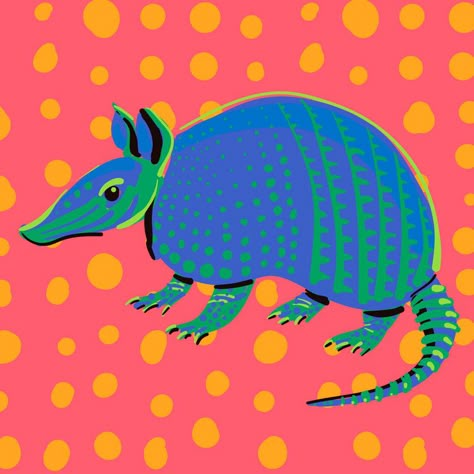 Cute Armadillo Drawing, Armadillo Painting, Armadillo Cartoon, Armadillo Drawing, Armadillo Illustration, Armadillo Art, Texas Canvas, Illustration Lettering, Lettering Illustration