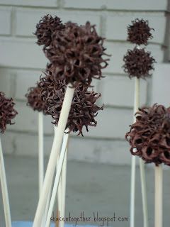 shaken together: {create this} Sweet Gum Ball Flowers Sweet Gum Tree Crafts, Sweet Gum Tree, Crepe Myrtles, Ball Flowers, Sweet Gum, Gum Tree, Farm Stand, Cub Scouts, Hard Wood