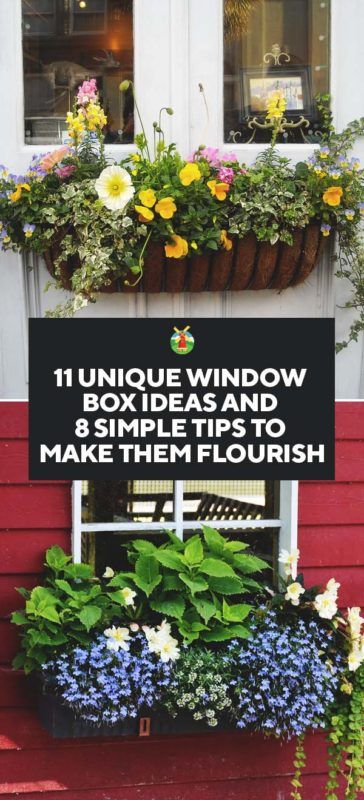 Hardscape Ideas, Window Box Plants, Window Box Flowers, Window Planters, Garden Beautiful, Flower Window, Window Planter Boxes, Succulents In Containers, Garden Containers