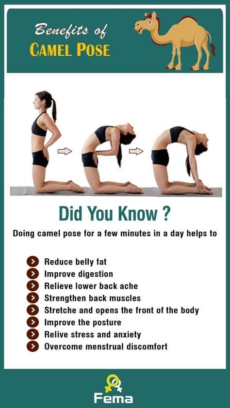 Flat Stomach Yoga Poses, Digestion Poses, Stressed Belly Fat Workout, Yoga Digestion, Strengthen Back Muscles, Belly Fat Yoga, Camel Pose Yoga, Strengthen Back, Yoga For Digestion