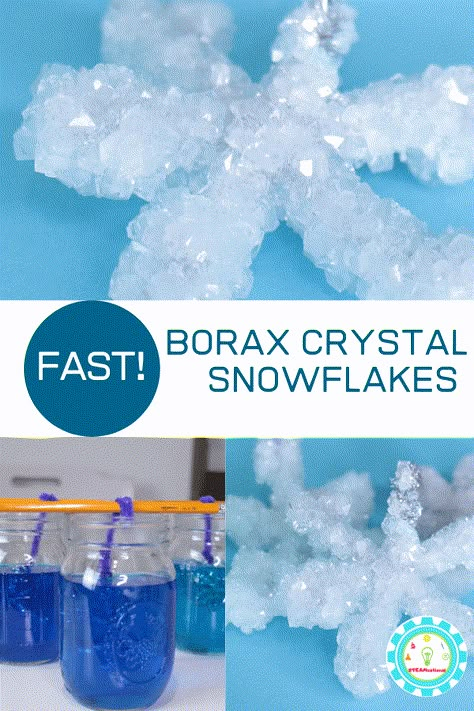 STEM activities for kids should be fun. In this experiment, kids can learn how to make super fast borax crystal snowflakes! Borax Snowflakes, Snowflakes Science, Snowflakes For Kids, Winter Stem Activities, Winter Science Experiments, Borax Crystals, Mad Professor, Winter Science, Holiday Science