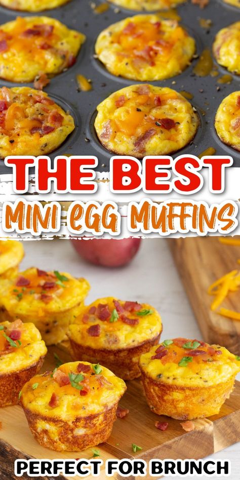 Tatertot Egg Muffins, Breakfast Keish Recipe Eggs, To Go Egg Breakfast, Mini Muffin Tin Breakfast Recipes, Mini Egg Bites Recipe, Mini Muffin Pan Egg Bites, Mini Egg Sandwiches, Mini Muffin Tin Egg Bites, Mini Egg Fritata Recipe