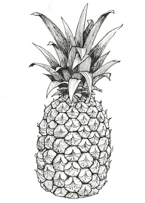 Pineapple Coloring Pages Pineapple Outline Drawing, Pinapple Drawings Pencil, Pineapple Drawings, Pineapple Coloring Page, Sketch Fruit, Pineapple Sketch, Pineapple Drawing, Pineapple Illustration, Sunset Canvas Painting