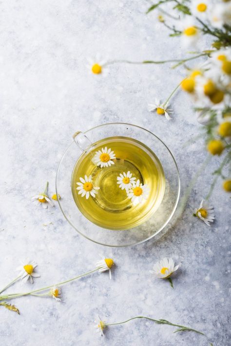 Chamomile flowers and chamomile tea in g... | Premium Photo #Freepik #photo #flower #leaf #tea #medicine Different Types Of Tea, Healing Tea, Tea Culture, Herb Tea, Glass Tea Cups, Tea Brands, Types Of Tea, Chamomile Tea, Chamomile Flowers