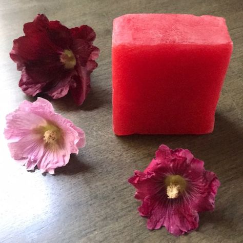  Hibiscus & Jasmine  hand crafted glycerin soap Homemade Things, Flower Soap, Glycerin Soap, Vegetable Glycerin, Hibiscus Flower, Flower Oil, Hibiscus Flowers, Hibiscus, Cruelty Free