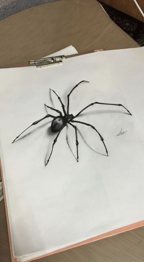 Scary Spider Drawing, Realistic Spider Drawing, Spider Drawing Sketches, Insect Sketch, Spider Sketch, Drawing Insects, Spider Painting, Sketch Tattoos, Biro Drawing