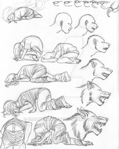 Werewolf Transformation Art, Transformation Monster, Monster Transformation, Werewolf Movies, Werewolf Transformation, Draw An Elephant, Werewolf Drawing, Werewolf Aesthetic, Elephant Drawing