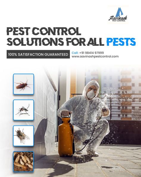 Pest control solutions for all pests. 100% satisfaction guaranteed at low cost. No.1 pest control for industrial, commercial & residential by expert team at your doorstep. Book Now at: +91 9841497999 Visit Our Website: http://www.aavinashpestcontrol.com/ #PestControlSolution #CommercialPestControlServices #PestControl #PestControlChennai #PestControlService #HerbalPestControlChennai #TermiteControlServicesChennai #CockroachControlServicesChennai #MosquitoControlChennai #AavinashPestControl Pest Control Services Poster, Pest Control Ads, Agriculture Photography, Cosmetic Labels Design, Termite Damage, Mosquito Control, Digital Marketing Design, Flyer And Poster Design, Pest Control Services