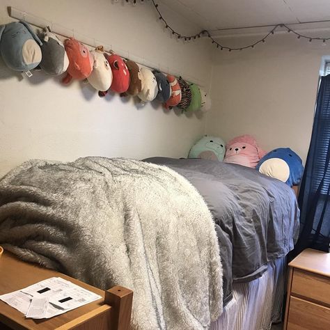 Emma💜 on Instagram: “College is tough because I’m always having to explain my squishmallow addiction 😂 oops . . . . #squishmallows #squishmallowsquad…” Squishmallow Storage Bedroom, Storing Squishmallows, Diy Squishmallow Storage, How To Store Squishmallows In Bedroom, Ways To Store Squishmallows, How To Store Squishmallows, Cute Ways To Store Squishmallows, Ways To Display Squishmallows, Squishmallow Display Ideas