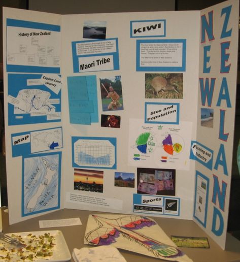 New Zealand Display for Geography Fair New Zealand School Project, Tri Fold Poster, Geography Classroom, Maori Tribe, Geography Project, Country Study, Study In Australia, Classroom Pictures, Country Studies