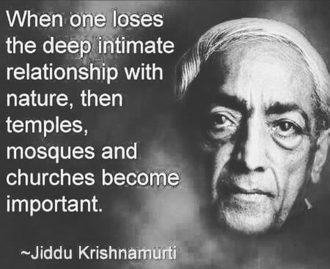 J Krishnamurti Quotes, Krishnamurti Quotes, J Krishnamurti, Quotes Facebook, Jiddu Krishnamurti, Words Worth, Badass Quotes, Mom Quotes, Quotable Quotes