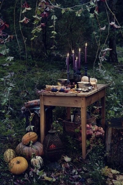 Nine Favorite Things | halfbakedharvest.com Autumnal Equinox, Deco Nature, Forest Photos, Witch Aesthetic, Practical Magic, Green Witch, Garden Cottage, Hallows Eve, Samhain