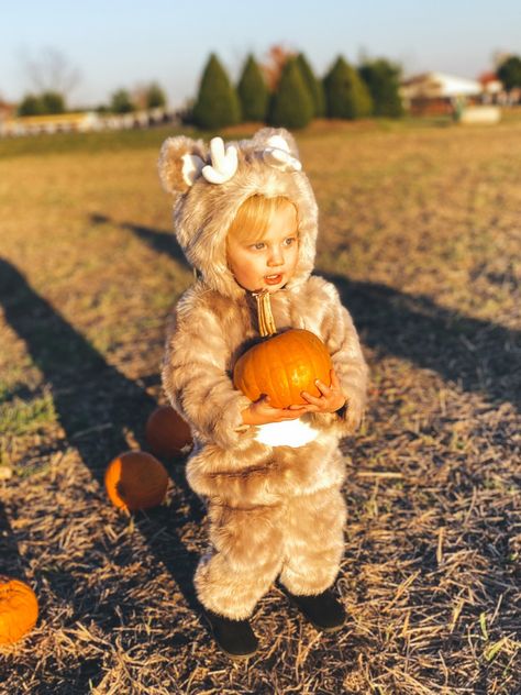 The perfect warm Halloween costume for toddler or baby! Deer costume, kids costume, toddler costume, toddler Halloween costume, reindeer costume, pottery barn kids, costume for cold weather, cozy Halloween costume Follow my shop @LastHouseOnBedfordLane on the @shop.LTK app to shop this post and get my exclusive app-only content! #liketkit #LTKunder100 #LTKHalloween #LTKstyletip @shop.ltk https://liketk.it/3QEe7 Costume For Cold Weather, Woodland Halloween, Baby Deer Costume, Warm Halloween Costumes, Toddler Halloween Costume, Warm Halloween, Reindeer Costume, Baby Halloween Costume, Costume Toddler