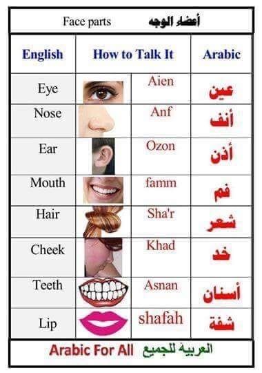 Arabic For Beginners, Learning Arabic For Beginners, Spoken Arabic, Learning Languages Tips, Learn Arabic Online, Arabic Phrases, Teach Arabic, English Language Learning Grammar, Learn Arabic Alphabet