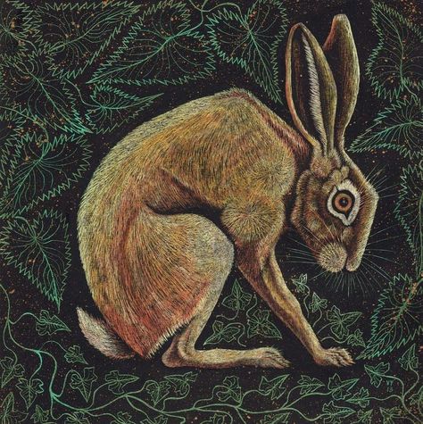 Hare Sketch, Linda Kemp, Hare Drawing, Hare Pictures, Hare Animal, Hare Illustration, Magick Art, Spring Bunnies, Hare Painting